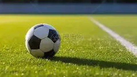 高途2025年第二季度业绩报告：AI赋能助力增长，营收增37.6%