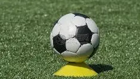 开运体育入口 产品 095031 hgq