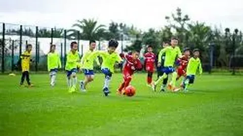 全运会遗憾：双星陨落未归，揭秘背后隐情