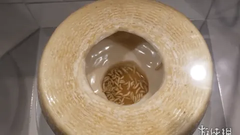 郜林再展球王风采！39岁老将郜林“老甲A”赛场头球破网，惊艳瞬间引全场欢呼